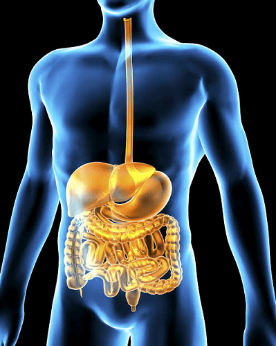 Advances in Digestive Diseases 2024 Banner